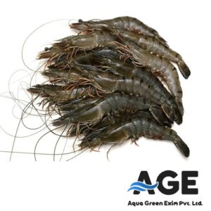 Black Tiger Shrimps
