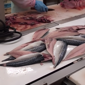 Processing & Cutting